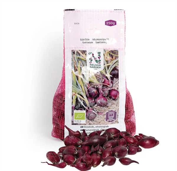 Økologisk Rødløg 1 Økologisk Rødløg