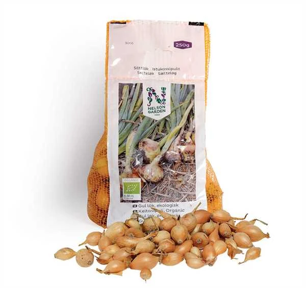 Økologisk Gul Sætteløg 1 Økologisk Gul Sætteløg