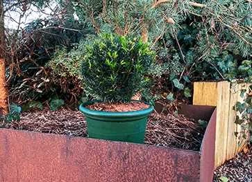 Taks 'Groenland' 1 Taks 'Groenland'