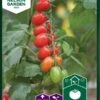 Tomat, Kirsebær-, Vespolino F1