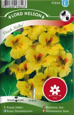 Buskblomsterkarse Peach Melba