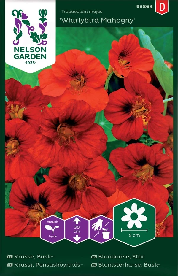 Buskblomsterkarse, Whirlybird Mahogny 1 Buskblomsterkarse, Whirlybird Mahogny