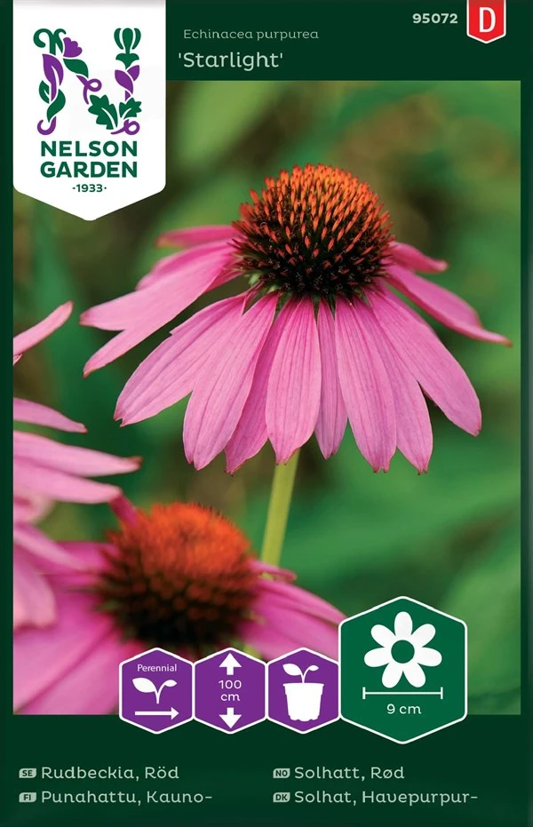 Havepurpursolhat 1 Havepurpursolhat