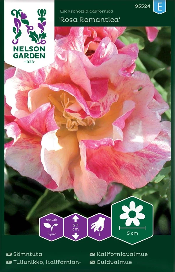 Californisk Guldvalmue 1 Californisk Guldvalmue