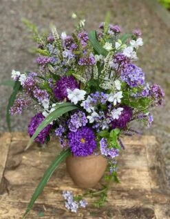 Frøkit Til Lilla Buket