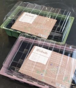 Minidrivhus Til Forkultivering